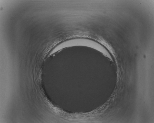 X0000066500009200603311716