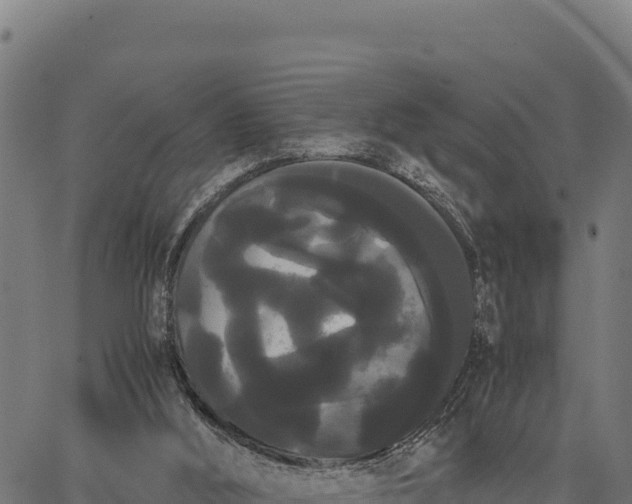 X0000066500012200603311716