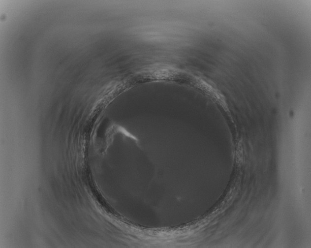 X0000066500018200603311716