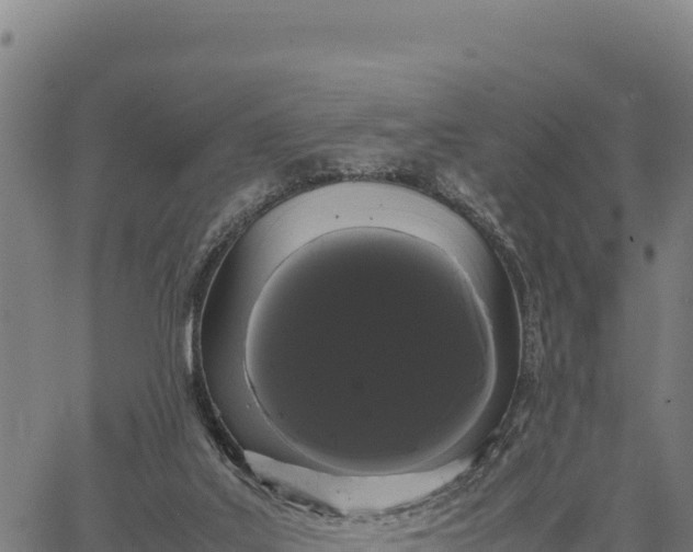 X0000066500019200603311716