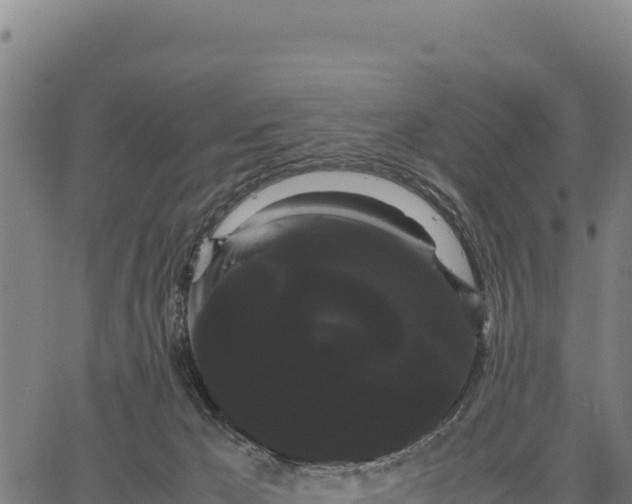 X0000066500029200603311715