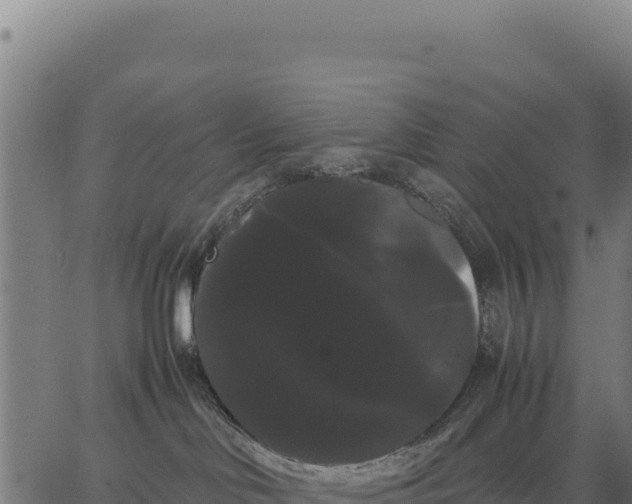 X0000066500046200603311715