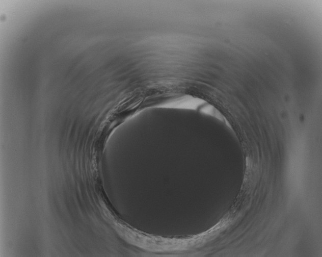 X0000066500048200603311715