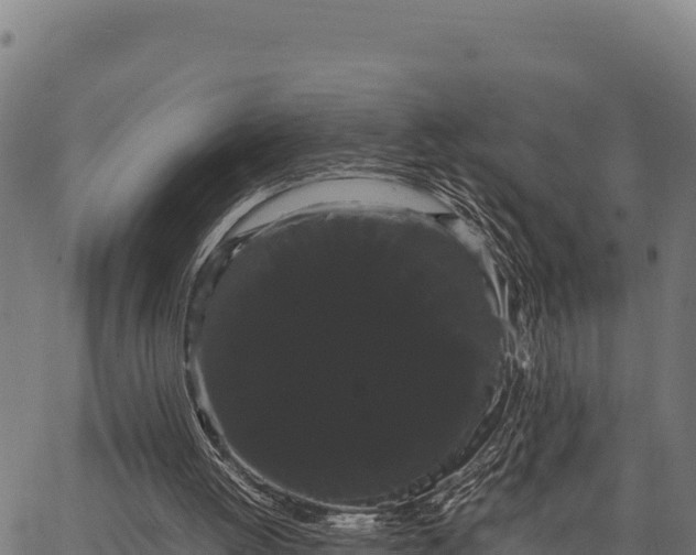 X0000066500052200603311714