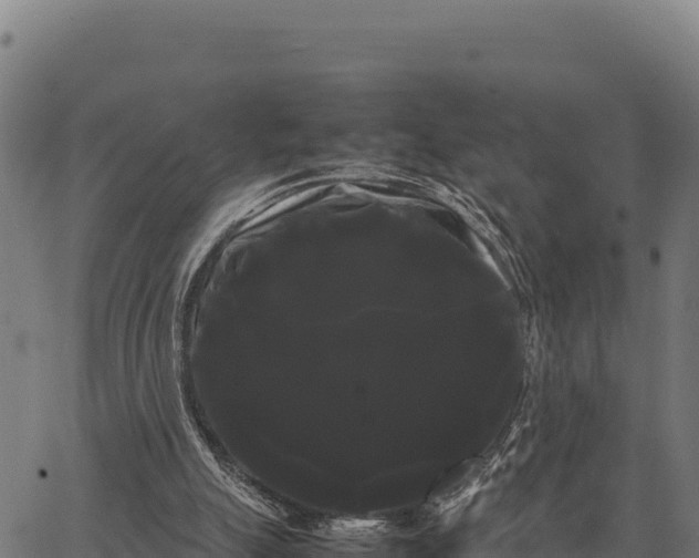 X0000066500055200603311715