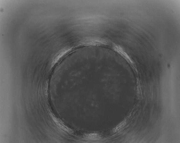 X0000066500058200603311715