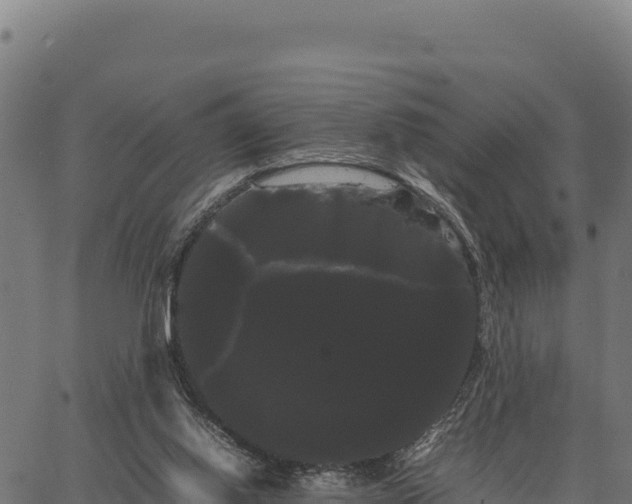 X0000066500062200603311715