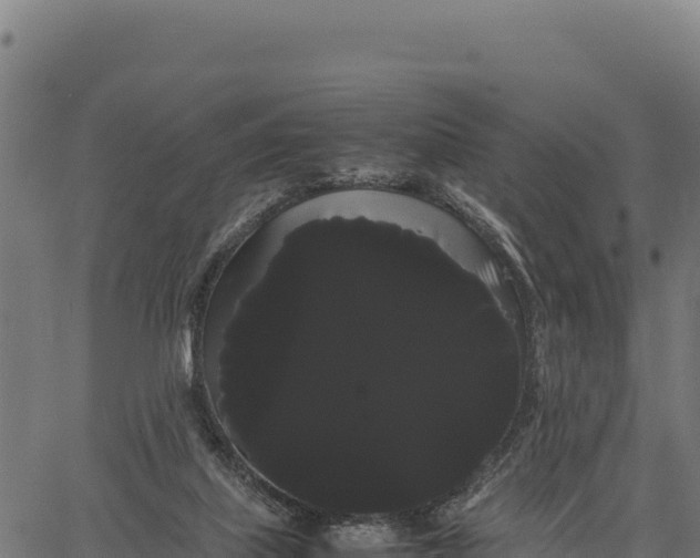 X0000066500067200603311715