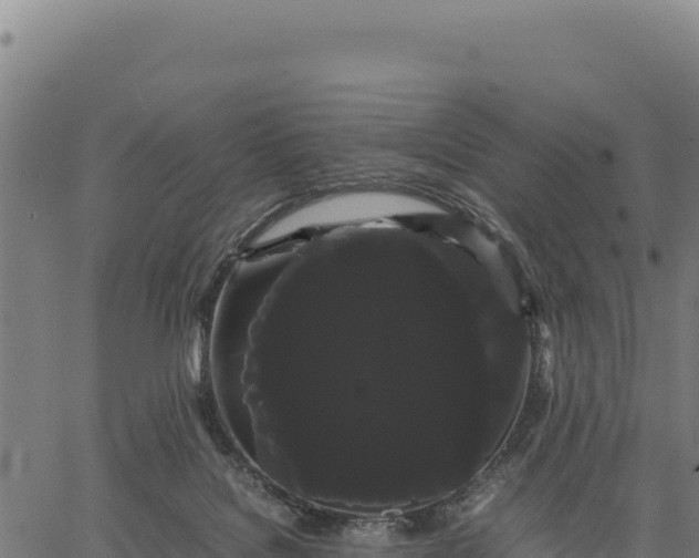 X0000066500076200603311715