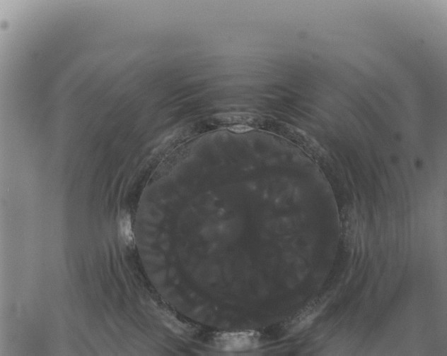 X0000066500089200603311715