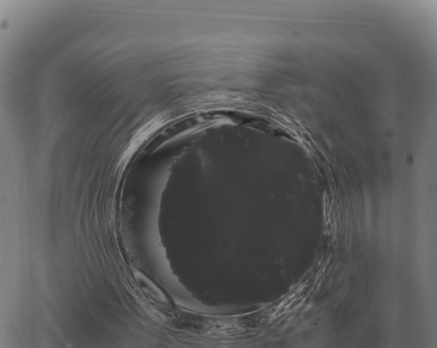 X0000066500099200603311714