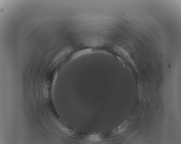 X0000066500114200603311714