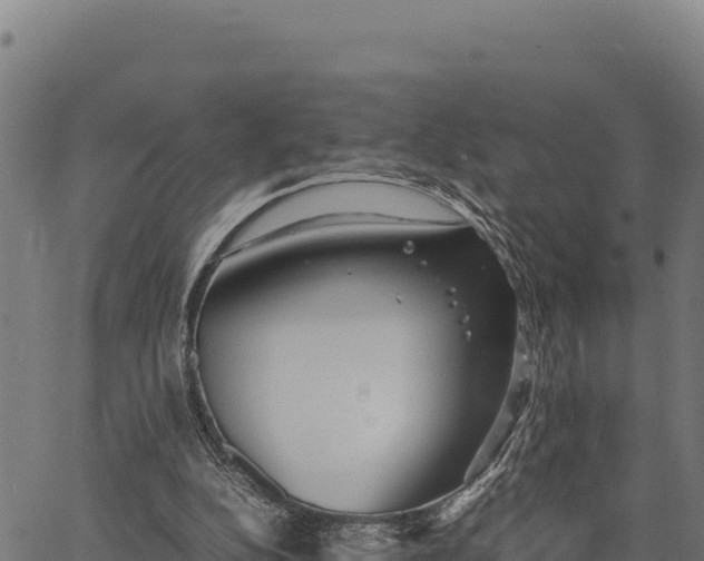 X0000066500152200603311713
