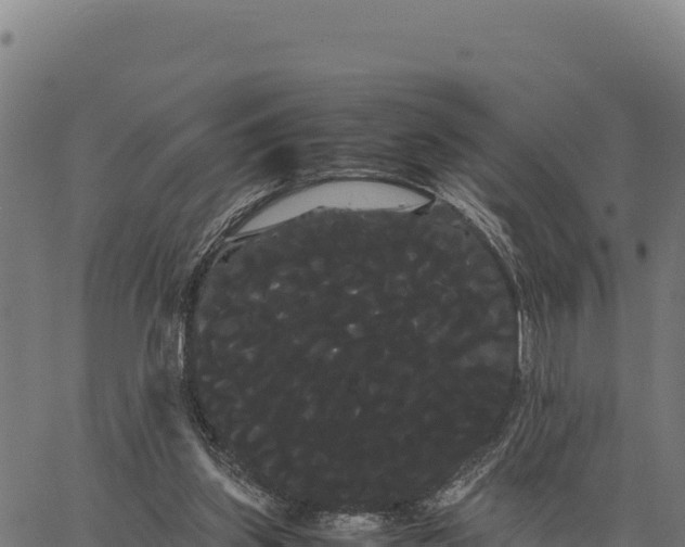 X0000066500157200603311713