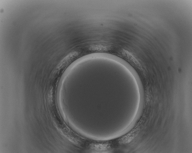 X0000066500163200603311713