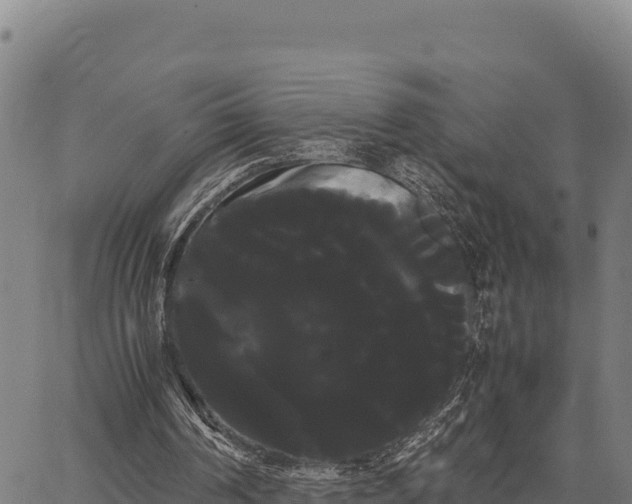 X0000066500194200603311713