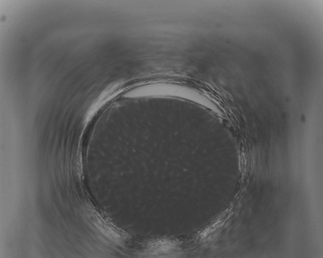 X0000066500198200603311713