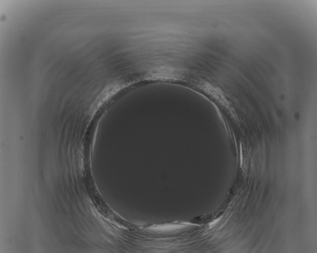 X0000066500204200603311713