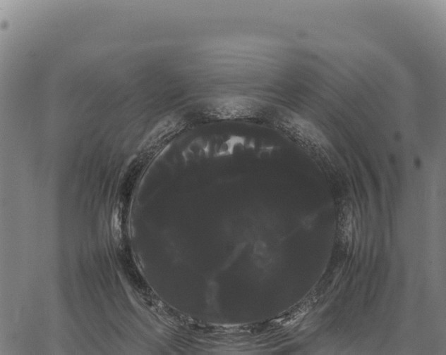 X0000066500214200603311712