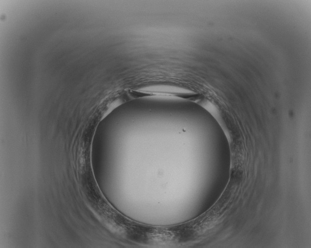 X0000066500215200603311712