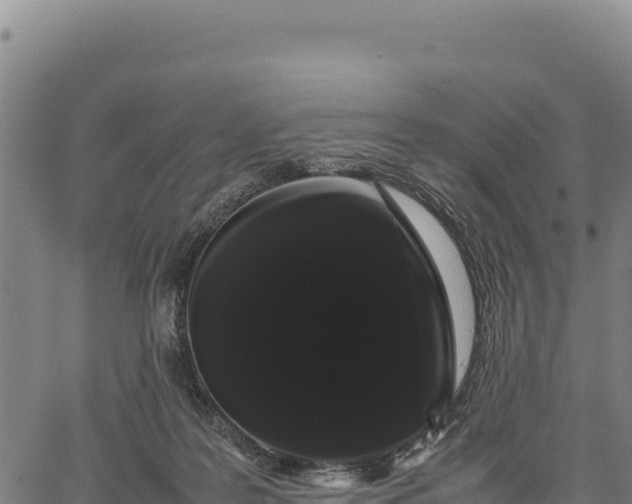 X0000066500219200603311712