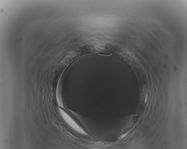 X0000066500223200603311712