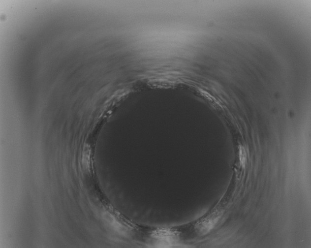 X0000066500231200603311712