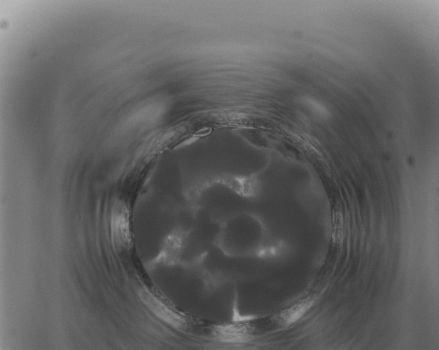 X0000066500238200603311712