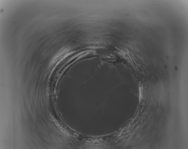 X0000066500243200603311711