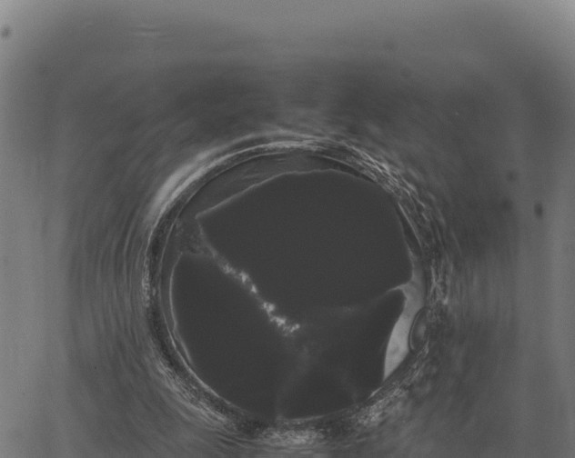 X0000066500247200603311711
