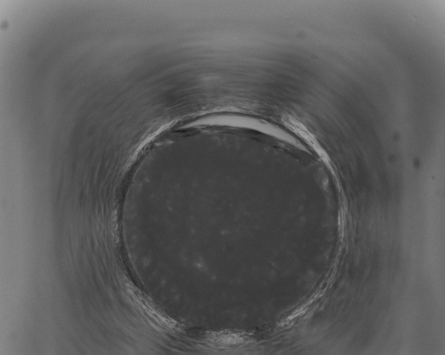 X0000066500249200603311711