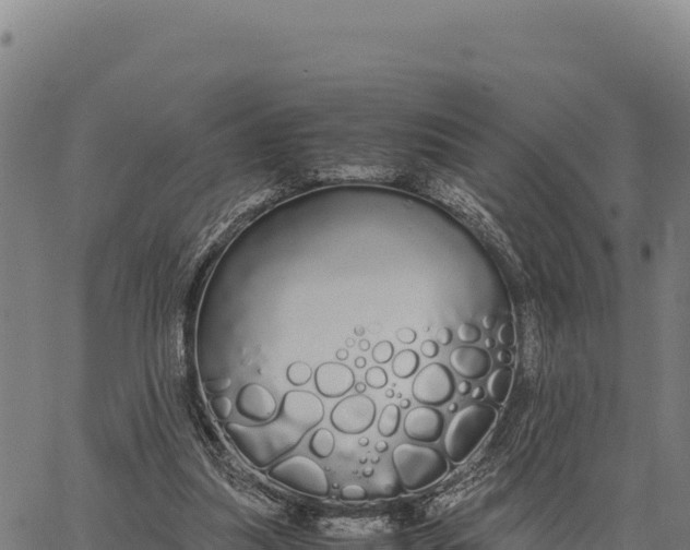 X0000066500251200603311711