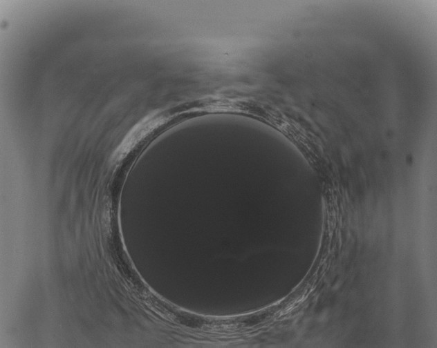 X0000066500295200603311711