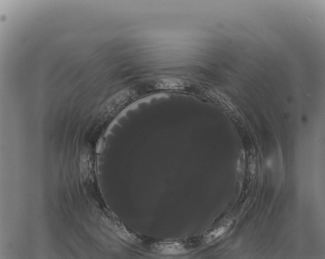 X0000066500322200603311711