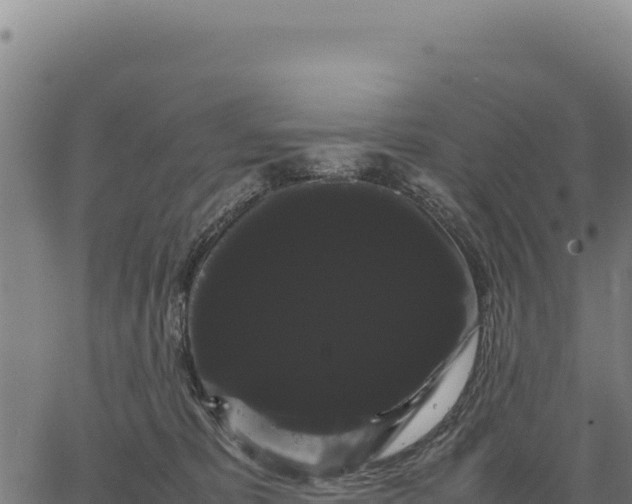 X0000066500325200603311711