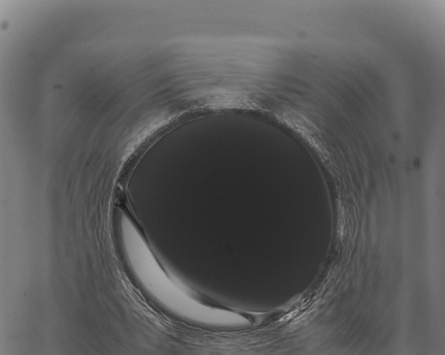 X0000066500391200603311710