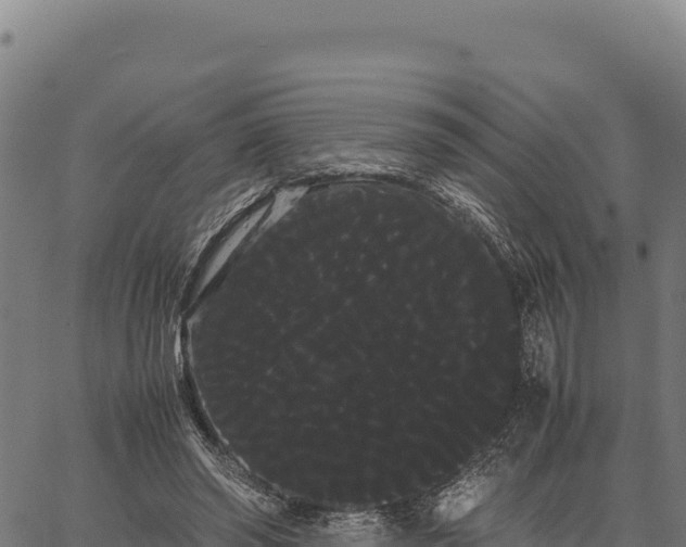 X0000066500398200603311709