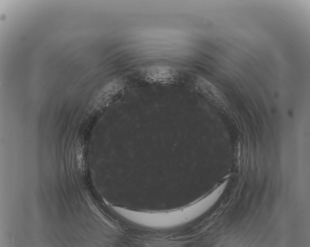 X0000066500408200603311709