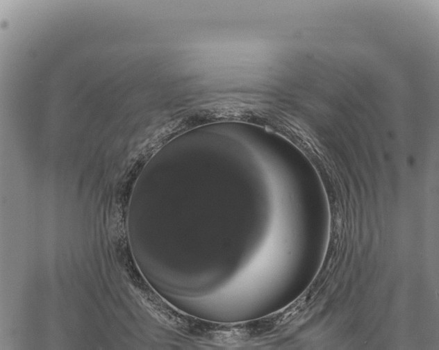 X0000066500411200603311709