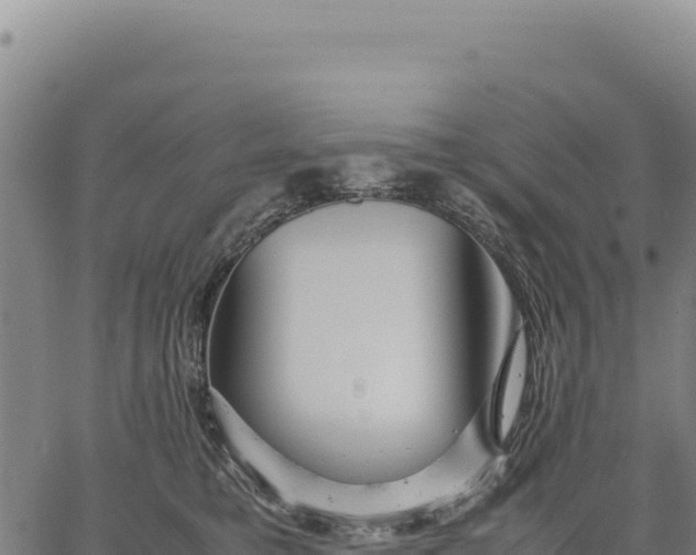 X0000066500421200603311709