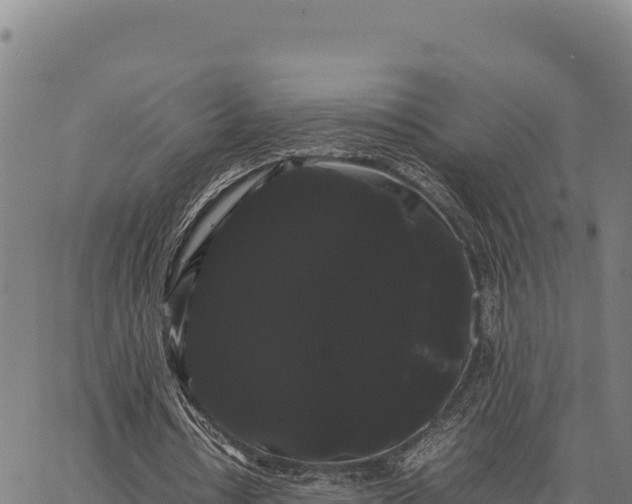 X0000066500434200603311708