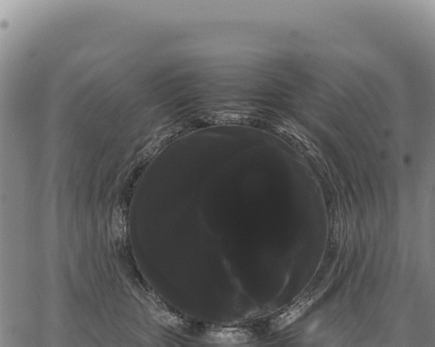 X0000066500467200603311709