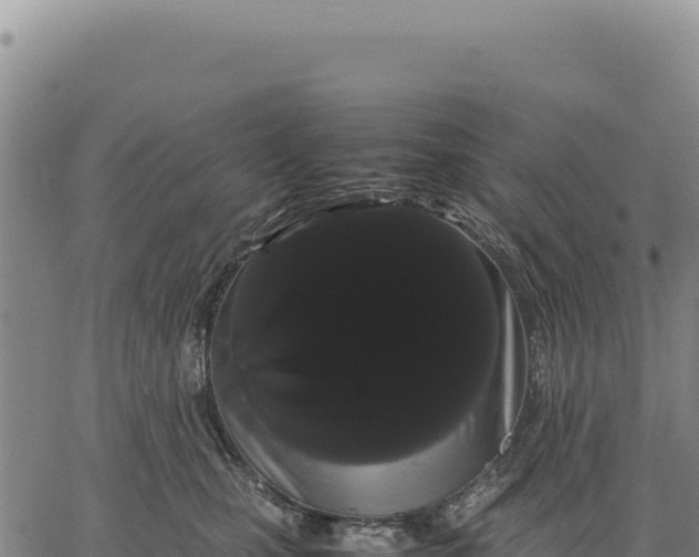 X0000066500471200603311709