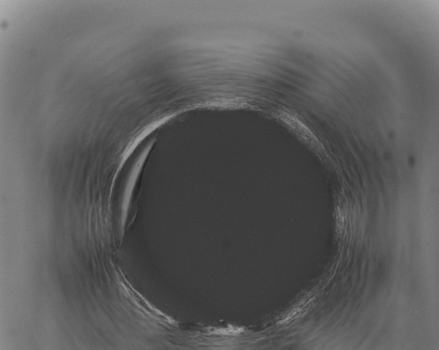 X0000066500484200603311708