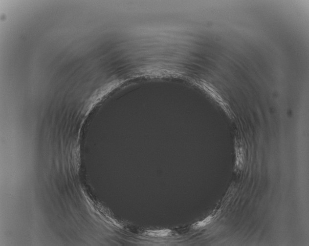 X0000066500488200603311708
