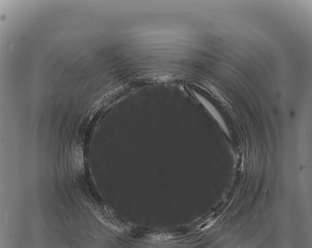 X0000066500500200603311708