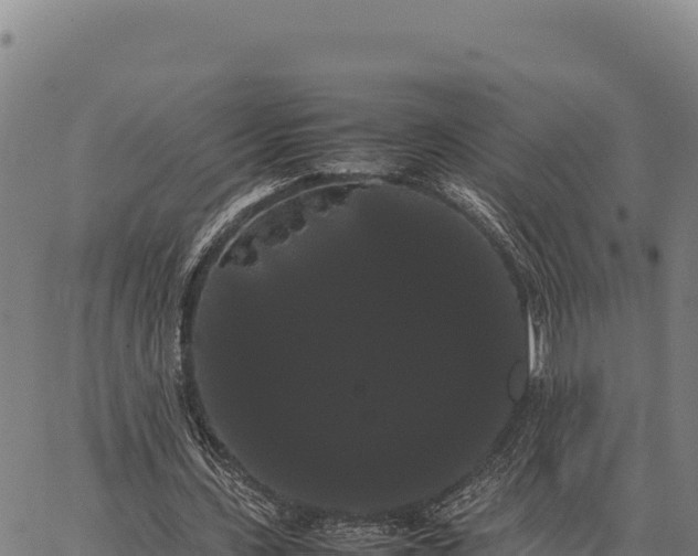 X0000066500531200603311707