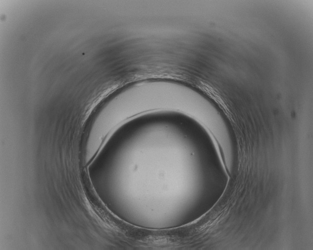 X0000066500534200603311707
