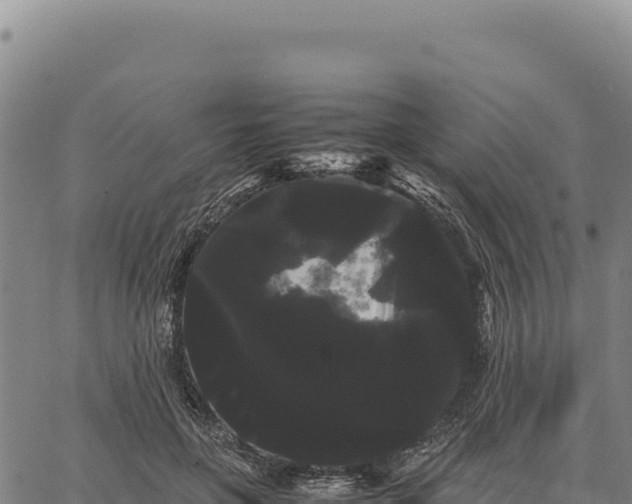 X0000066500551200603311707