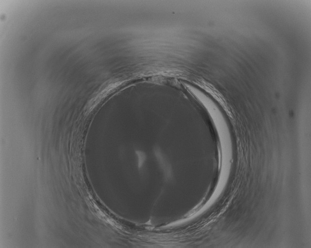 X0000066500577200603311706